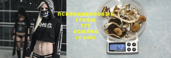 тгк Балахна