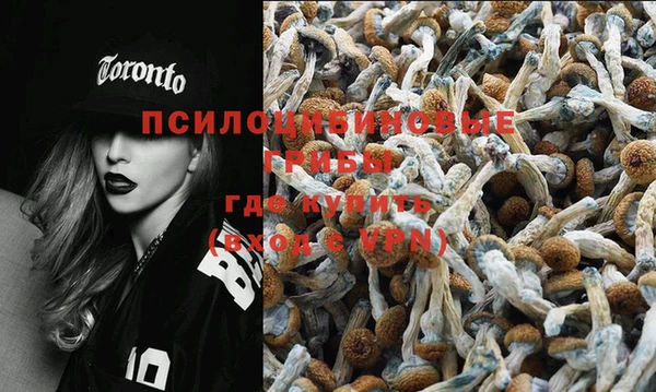 спиды Баксан