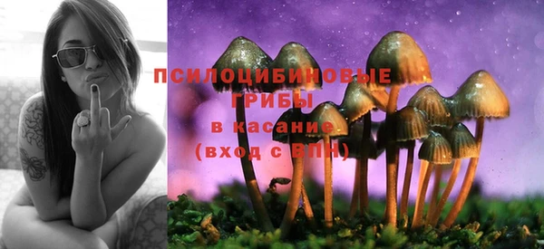 МДПВ Балабаново